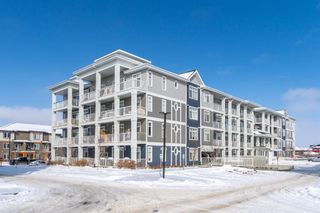 Photo 22: 408 100 Auburn Meadows Common SE in Calgary: Auburn Bay Apartment for sale : MLS®# A2117356