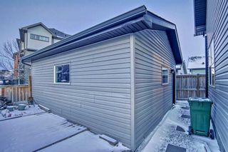 Photo 45: 4 Skyview Springs Manor NE in Calgary: Skyview Ranch Detached for sale : MLS®# A2101050