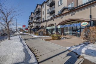 Photo 20: 404 1727 54 Street SE in Calgary: Penbrooke Meadows Apartment for sale : MLS®# A2029798