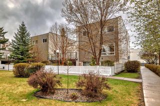 Photo 3: 114 6919 Elbow Drive SW in Calgary: Kelvin Grove Apartment for sale : MLS®# A2129812