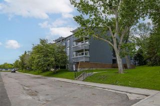 Photo 28: 308 816 89 Avenue SW in Calgary: Haysboro Apartment for sale : MLS®# A1228379