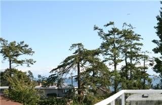 Photo 8: : Single Family Dwelling for sale (Esquimalt
Esquimalt
Victoria
Vancouver Island/Smaller Islands
British Columbia)  : MLS®# 252065