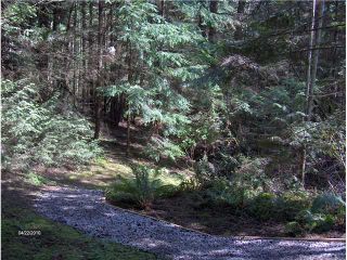 Photo 10: 4646 WOODGROVE PL in West Vancouver: Cypress Park Estates House for sale in "Cypress Park Estates" : MLS®# V828199