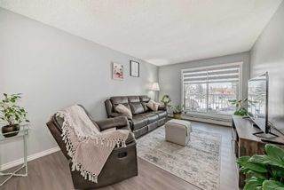 Photo 7: 202 5555 Falsbridge Drive NE in Calgary: Falconridge Apartment for sale : MLS®# A2118008