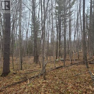 Photo 5: COX ROAD in Arden: Vacant Land for sale : MLS®# 1289697