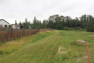 Photo 8: 3729 47 Street: Gibbons Vacant Lot/Land for sale : MLS®# E4124273