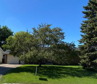Photo 2: 196 ROSE Street in Steinbach: R16 Residential for sale : MLS®# 202218930