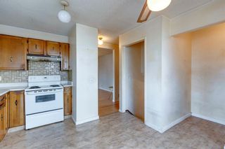 Photo 4: 2523 62 Street NE in Calgary: Pineridge Semi Detached for sale : MLS®# A1204768
