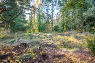 Photo 10: 13054 112 Avenue in Surrey: Whalley Land for sale (North Surrey)  : MLS®# R2847788