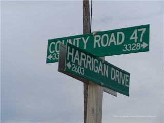 Photo 5: 3339 County Road 47 Road in Ramara: Rural Ramara Property for sale : MLS®# S3802737