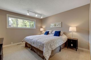 Photo 21: 463 Dalmeny Hill NW in Calgary: Dalhousie Detached for sale : MLS®# A1120566