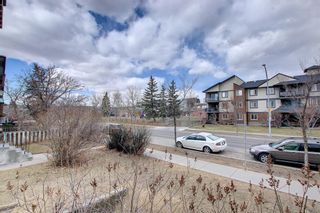 Photo 13: 103 1613 11 Avenue SW in Calgary: Sunalta Apartment for sale : MLS®# A1205229