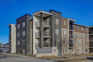 Photo 1: 413 7210 80 Avenue NE in Calgary: Saddle Ridge Apartment for sale : MLS®# A2019598
