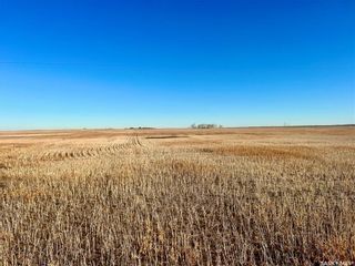 Photo 11: Harris 2,388 acres Grain Farmland in Marriott: Farm for sale (Marriott Rm No. 317)  : MLS®# SK956301