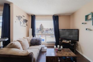 Photo 19: 305 4512 75 Street NW in Calgary: Bowness Apartment for sale : MLS®# A2034072