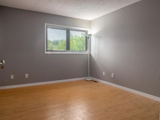Photo 14: 502 547 St Anne's Road in Winnipeg: Meadowood Condominium for sale (2E)  : MLS®# 202022993