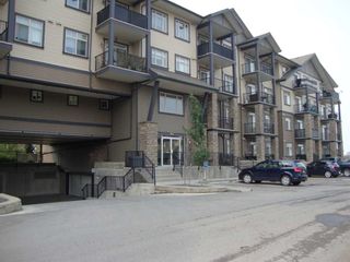 Photo 13: 320 117 Copperpond Common SE in Calgary: Copperfield Apartment for sale : MLS®# A2068220
