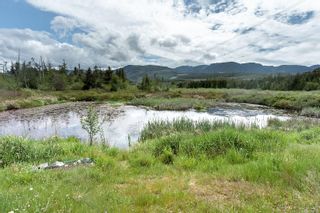 Photo 1: 3910 Alberni Hwy in Whiskey Creek: PQ Errington/Coombs/Hilliers Land for sale (Parksville/Qualicum)  : MLS®# 956537