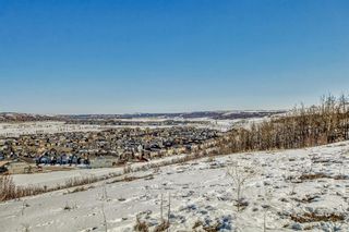 Photo 1: 346 CHAPARRAL RIDGE Circle in Calgary: Chaparral Detached for sale : MLS®# A2033916