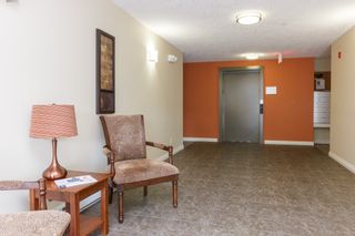 Photo 3: 104 2380 Brethour Ave in SIDNEY: Si Sidney North-East Condo for sale (Sidney)  : MLS®# 786586