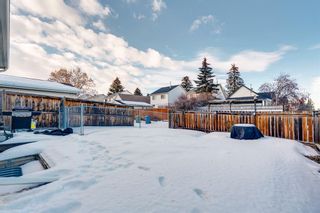Photo 38: 41 Queen Anne Close SE in Calgary: Queensland Detached for sale : MLS®# A2021417