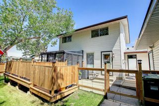 Photo 47: 311 Whitehorn Place in Calgary: Whitehorn Detached for sale : MLS®# A1240329