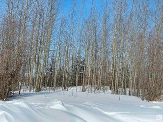 Photo 20: 231 Rge Rd, 624 Twp Rd: Rural Athabasca County Rural Land/Vacant Lot for sale : MLS®# E4281157