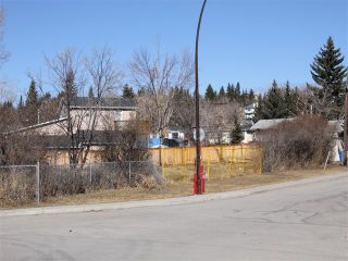 Photo 4: 2004 HOME Road NW in Calgary: Montgomery Land for sale : MLS®# C4000418