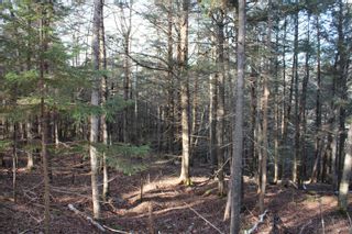 Photo 10: Lot 1 Power Lot Road in Clementsport: Annapolis County Vacant Land for sale (Annapolis Valley)  : MLS®# 202227444