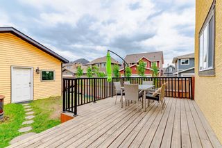 Photo 40: 14 Marquis Gardens SE in Calgary: Mahogany Detached for sale : MLS®# A2137876