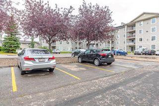 Photo 24: 1308 604 8 Street SW: Airdrie Apartment for sale : MLS®# A2068655