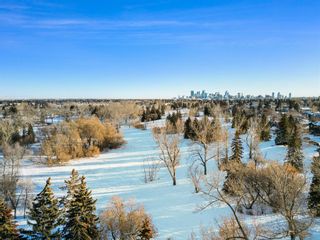 Photo 43: 2419 Charlebois Drive NW in Calgary: Charleswood Detached for sale : MLS®# A2018186