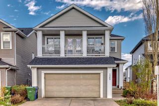 Photo 50: 1589 Copperfield Boulevard SE in Calgary: Copperfield Detached for sale : MLS®# A2131890