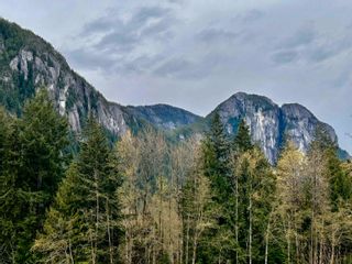 Photo 8: 2240 WIND SAIL Place in Squamish: Plateau Land for sale in "Crumpit Woods" : MLS®# R2866584