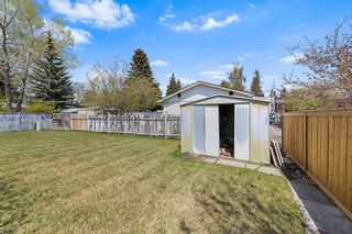 Photo 47: 5032 Dalhart Road NW in Calgary: Dalhousie Detached for sale : MLS®# A2049162