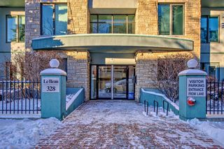 Photo 2: 304 328 21 Avenue SW in Calgary: Mission Apartment for sale : MLS®# A2101166