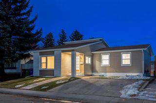 Main Photo: 64 Whitefield Crescent NE in Calgary: Whitehorn Detached for sale : MLS®# A2033228
