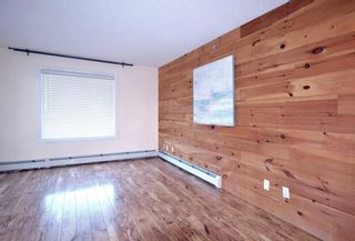 Photo 29: 4301 16969 24 Street SW in Calgary: Bridlewood Apartment for sale : MLS®# A2139686