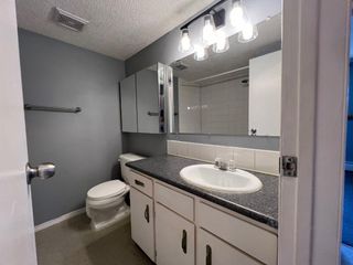 Photo 11: 4 232 Sabrina Way SW in Calgary: Southwood Apartment for sale : MLS®# A2130954