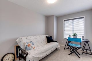 Photo 43: 142 Nolanhurst Rise NW in Calgary: Nolan Hill Detached for sale : MLS®# A1214654