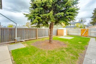 Photo 12: 8560 88 Street in Edmonton: Zone 18 House Half Duplex for sale : MLS®# E4382594