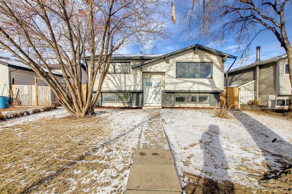 Main Photo: 212 Rundlefield Road NE in Calgary: Rundle Detached for sale : MLS®# A1166043