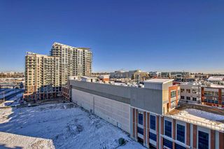 Photo 43: 1012 8880 Horton Road SW in Calgary: Haysboro Apartment for sale : MLS®# A2096304