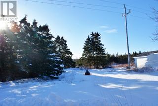 Photo 5: 79-83 Bannerman Lake Road in Harbour Grace: House for sale : MLS®# 1267440