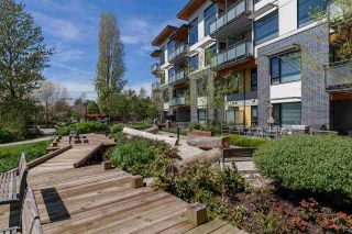 Photo 9: 101 3138 RIVERWALK Avenue in Vancouver: Champlain Heights Condo for sale (Vancouver East)  : MLS®# R2164116