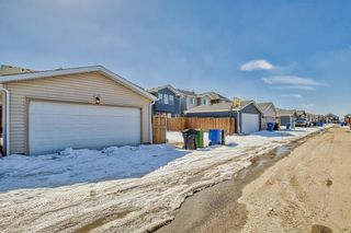 Photo 37: 1023 Evanston Drive NW in Calgary: Evanston Detached for sale : MLS®# A2036400