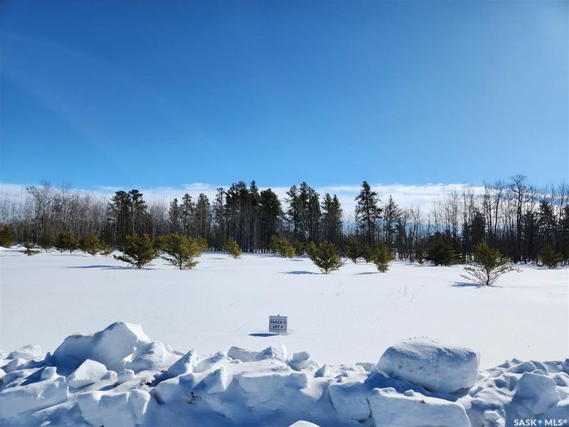 FEATURED LISTING: 15 Rolling Pines Drive Nipawin
