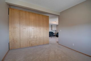 Photo 32: 340 Springborough Way SW in Calgary: Springbank Hill Detached for sale : MLS®# A1216091