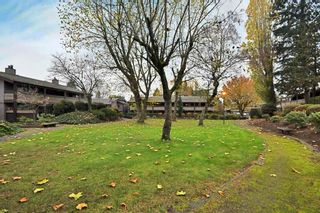 Photo 17: 512 34909 OLD YALE Road in Abbotsford: Abbotsford East Townhouse for sale : MLS®# R2078545