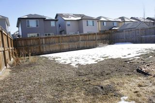 Photo 36: 1217 Brightoncrest Common SE in Calgary: New Brighton Detached for sale : MLS®# A2120372